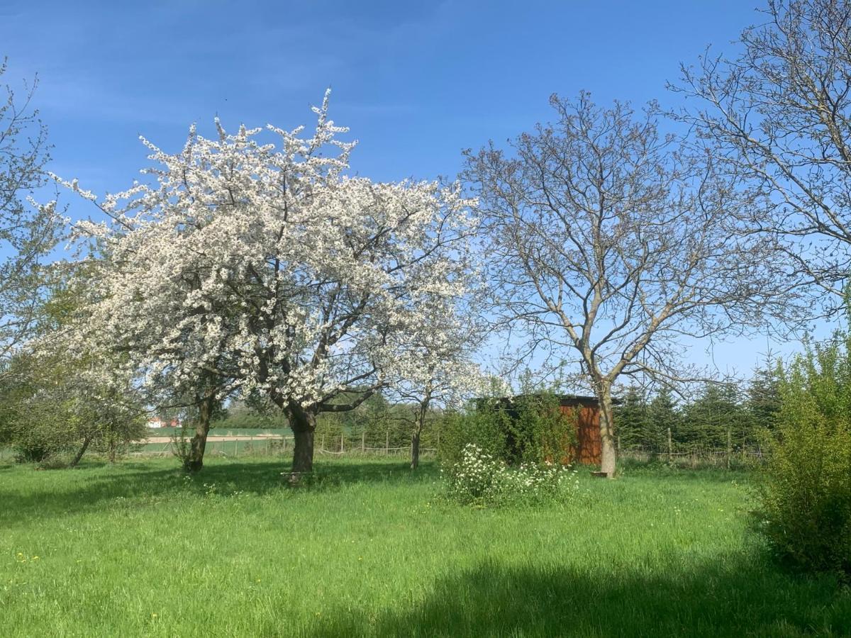 Ferme Renovee 300M2 La Casa Jeb : Charme, Calme Et Nature Moncheaux Εξωτερικό φωτογραφία